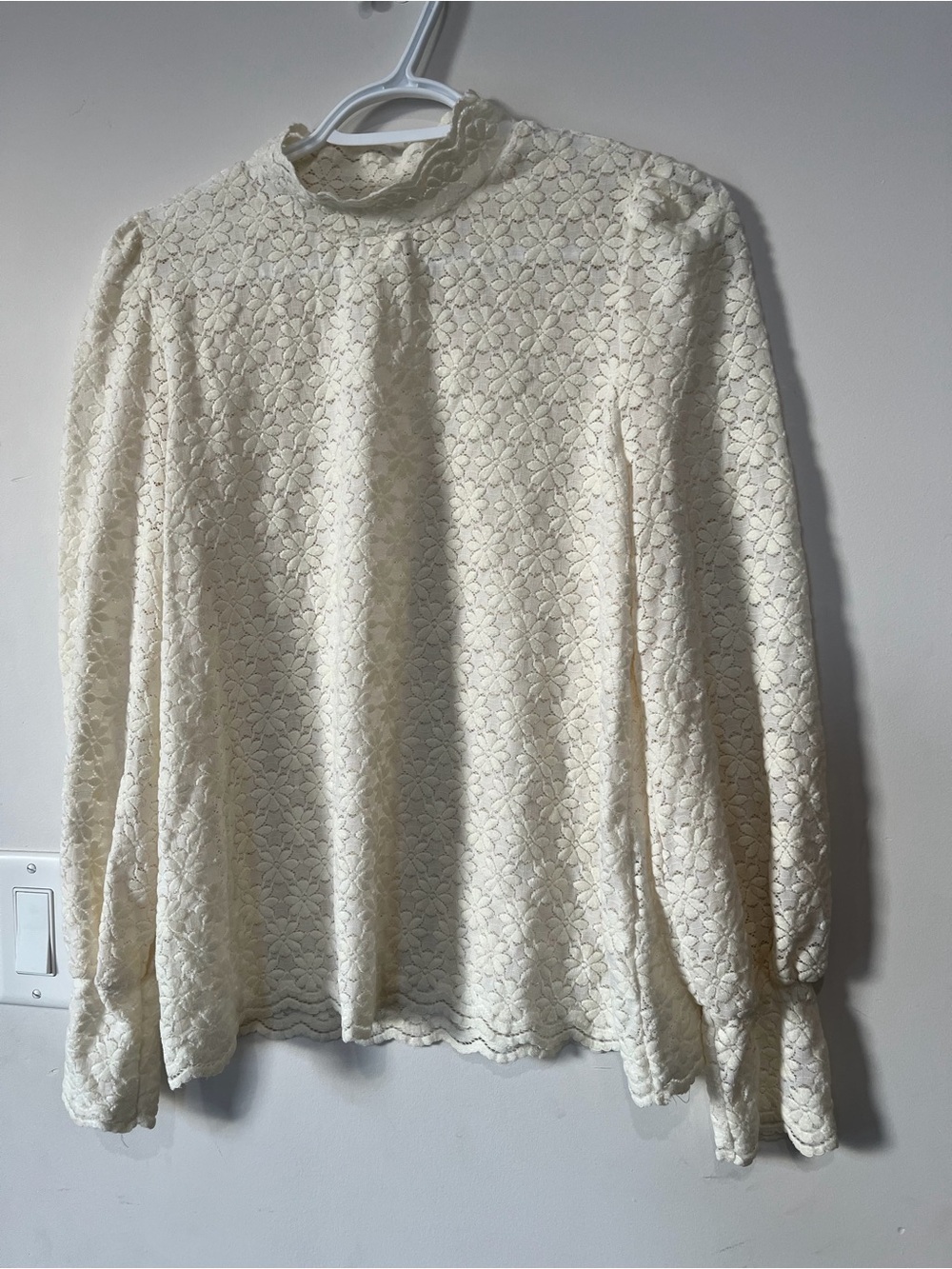 Gorgeous lace and velvet long sleeve shirt